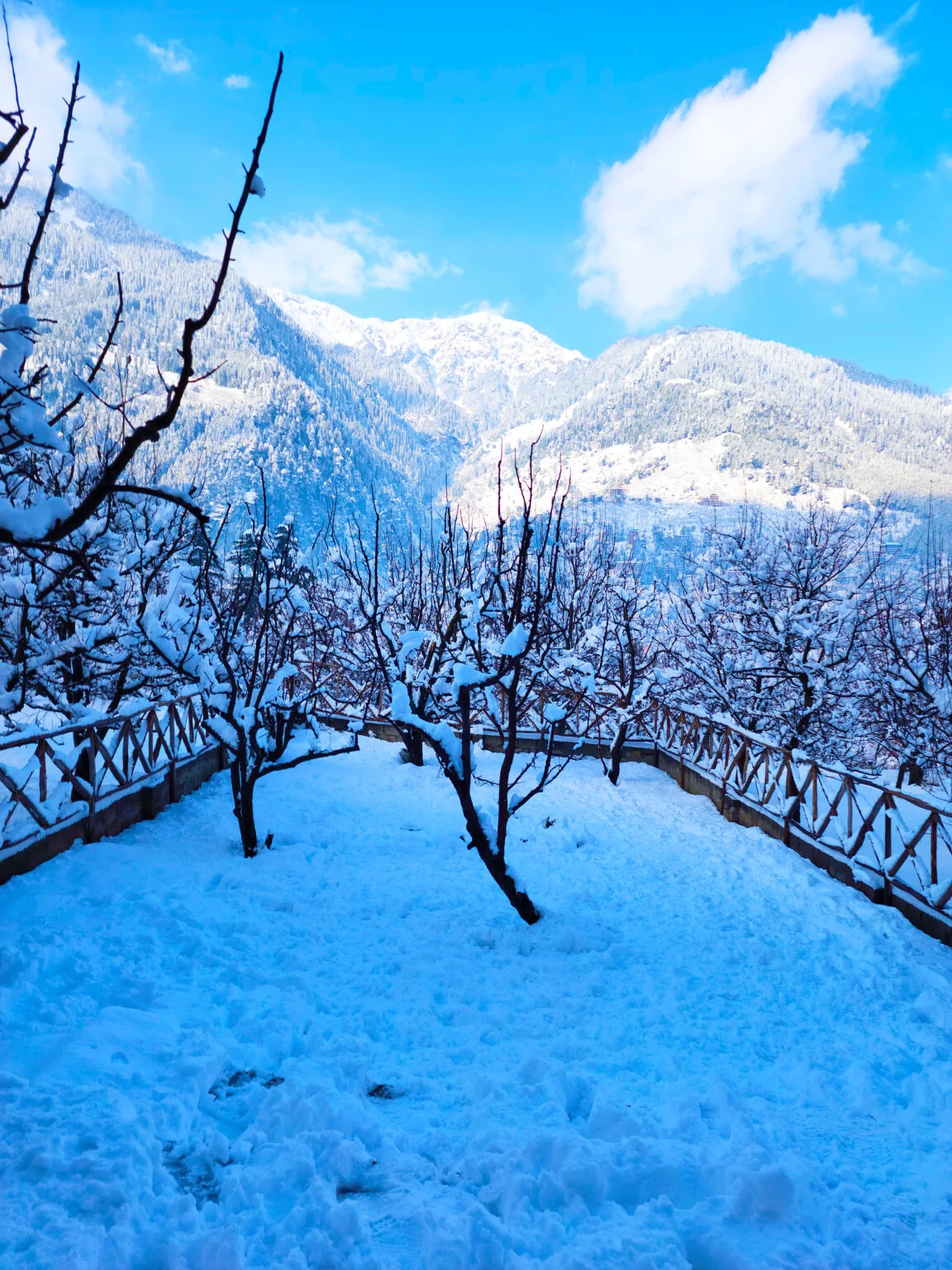 High mountain snow view in Prini Manali